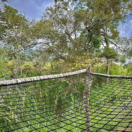 Finca Ecoparaiso Ibague Ngoại thất bức ảnh