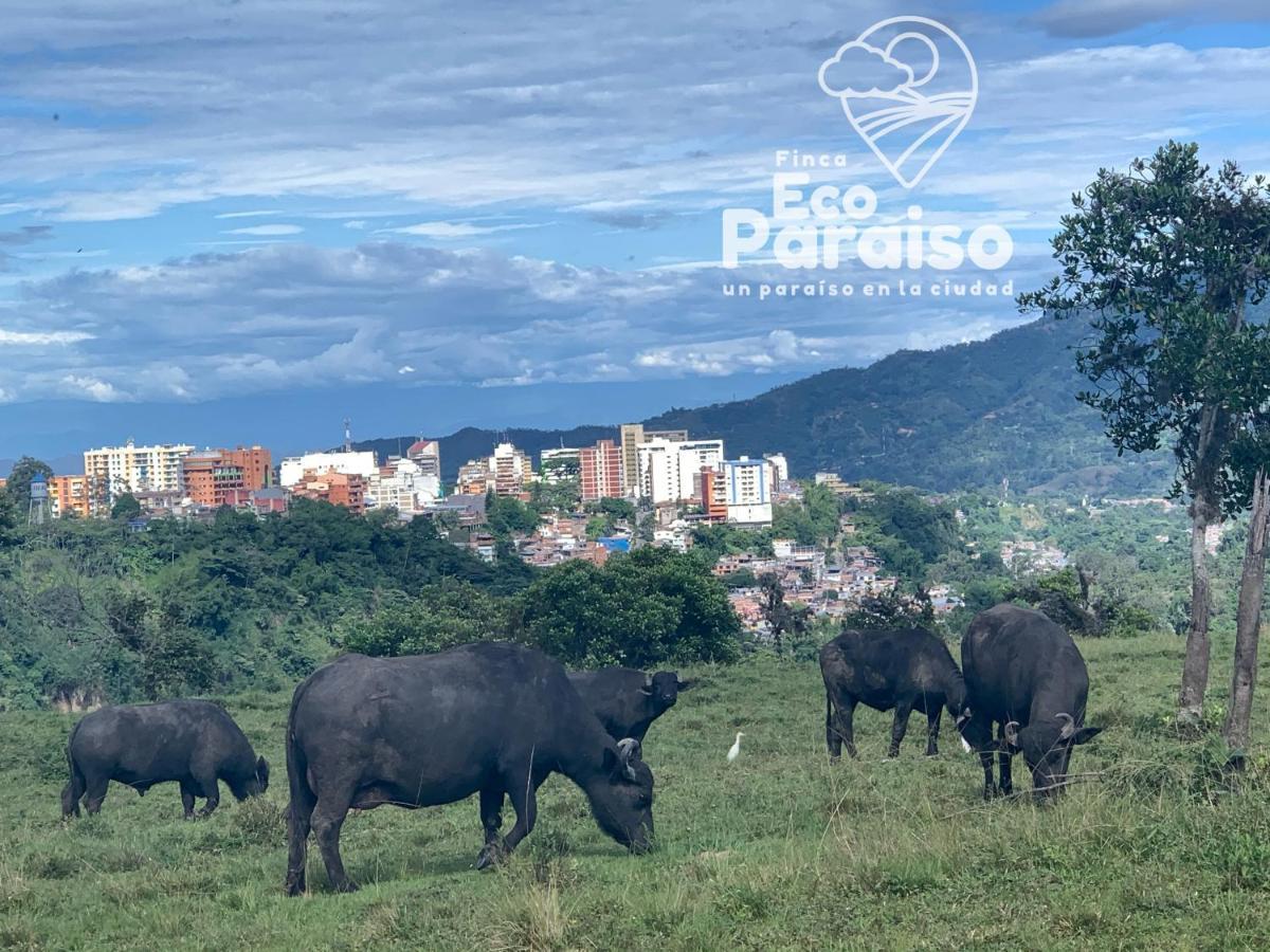 Finca Ecoparaiso Ibague Ngoại thất bức ảnh