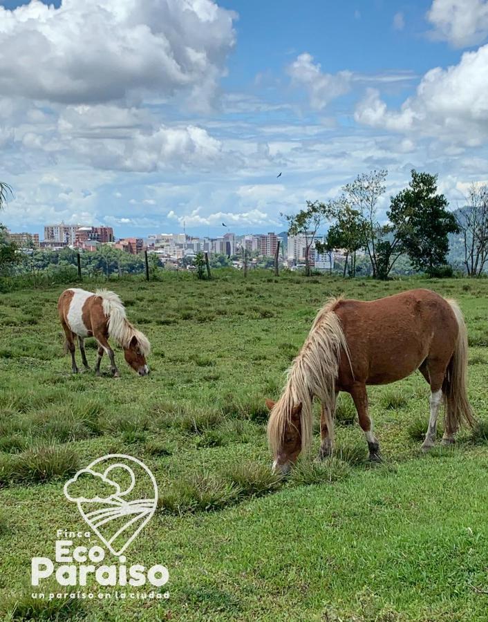 Finca Ecoparaiso Ibague Ngoại thất bức ảnh