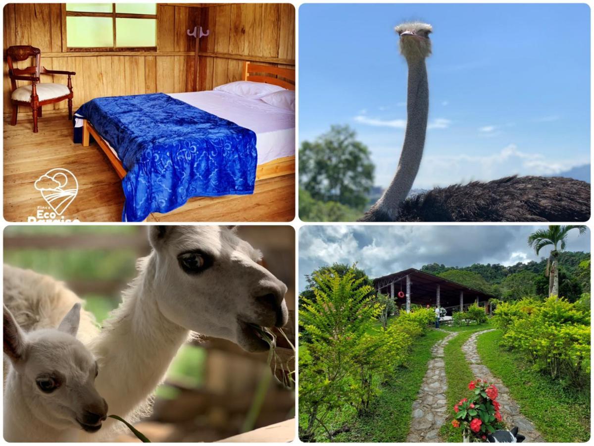 Finca Ecoparaiso Ibague Ngoại thất bức ảnh