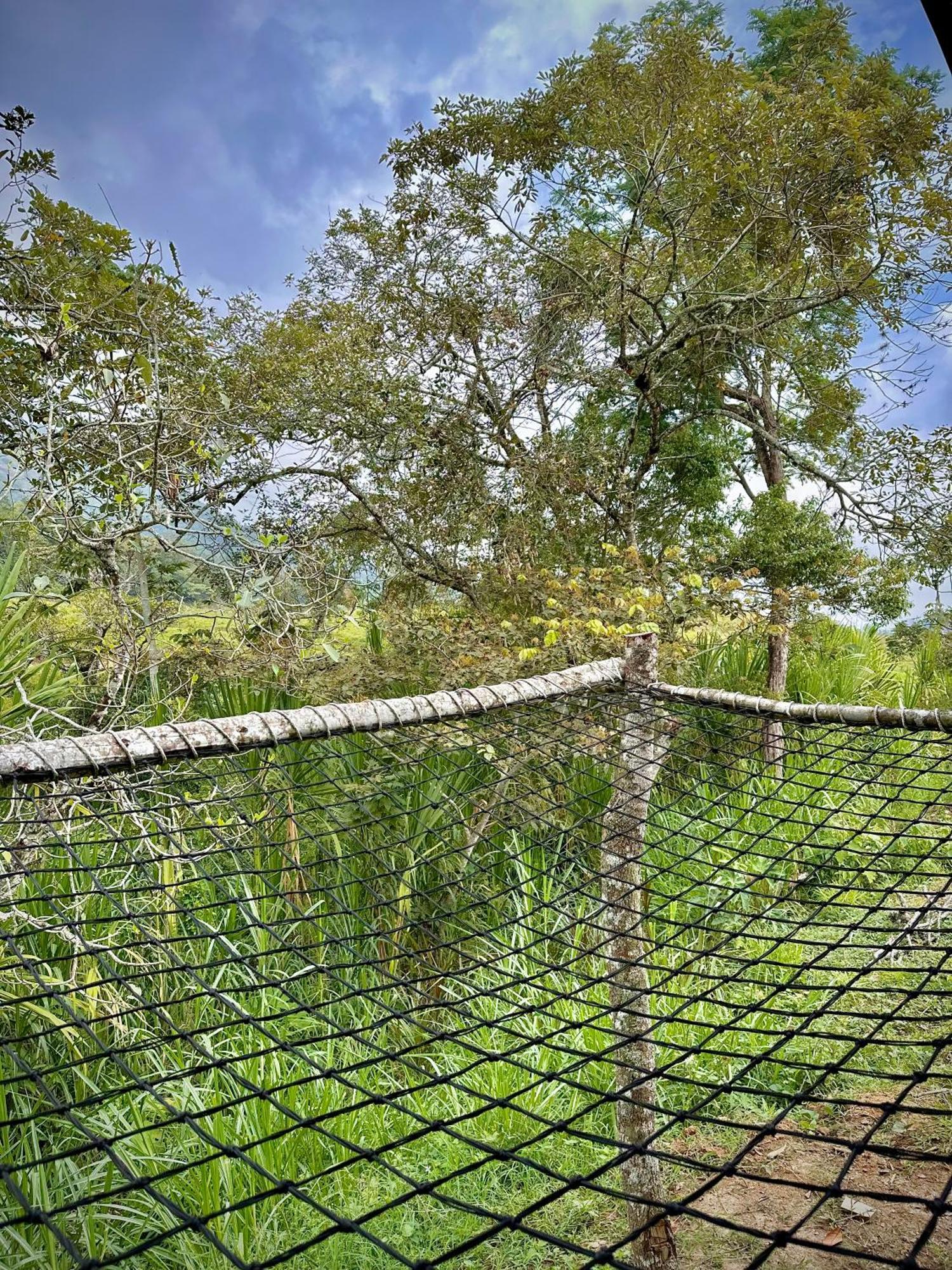 Finca Ecoparaiso Ibague Ngoại thất bức ảnh